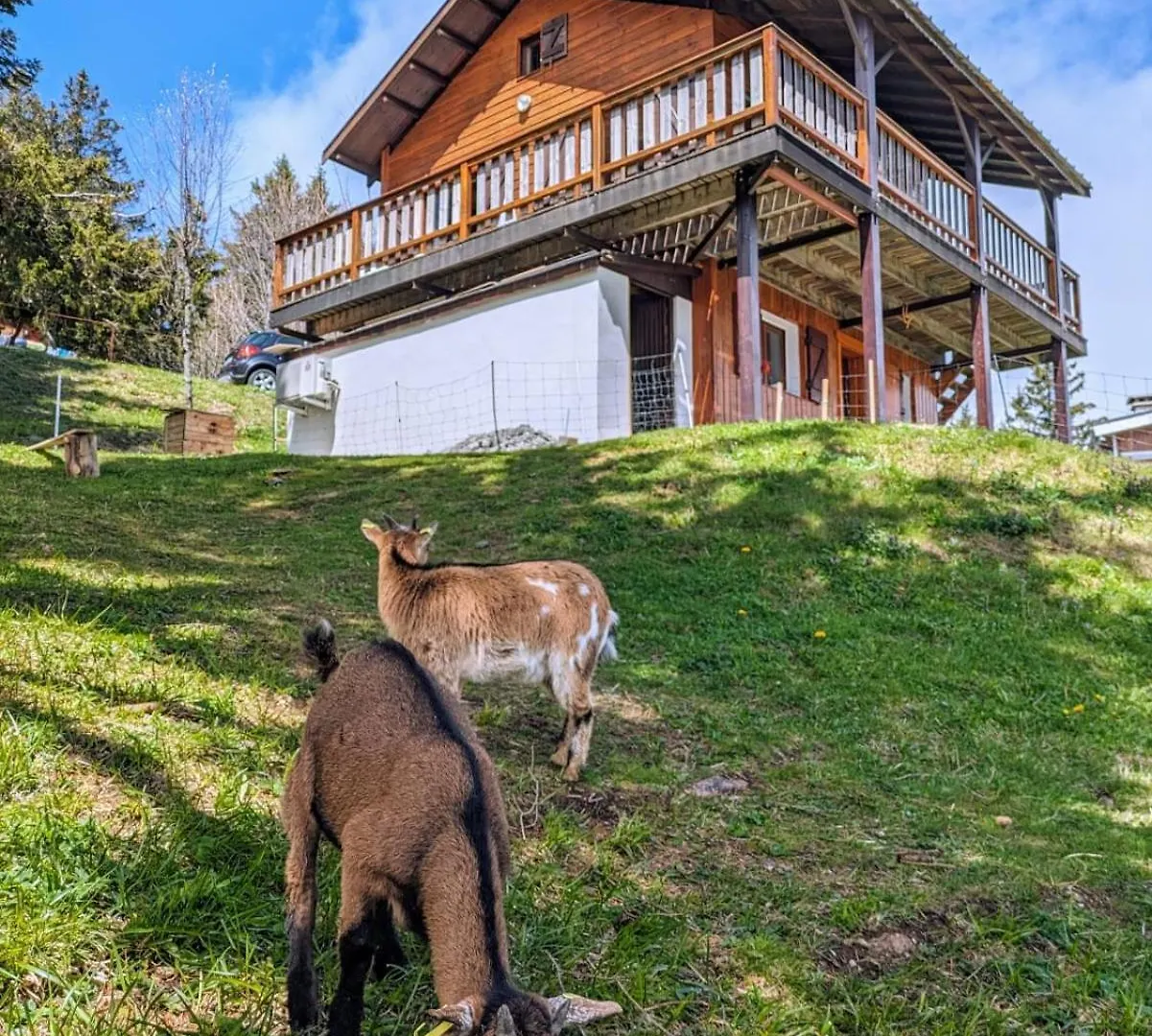 Chalet Les Etoiles Vue Mont Blanc Pugny-Chatenod